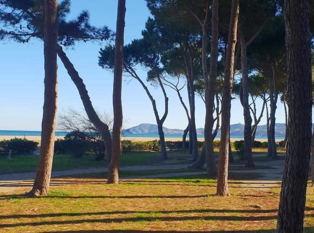 Les Lavandines -Coquette Maison De Vacances - 400 M De La Plage - Grande Terrasse - 2 Chambres - 2 Salles De Bain - Tout Confort Argeles-sur-Mer Bagian luar foto